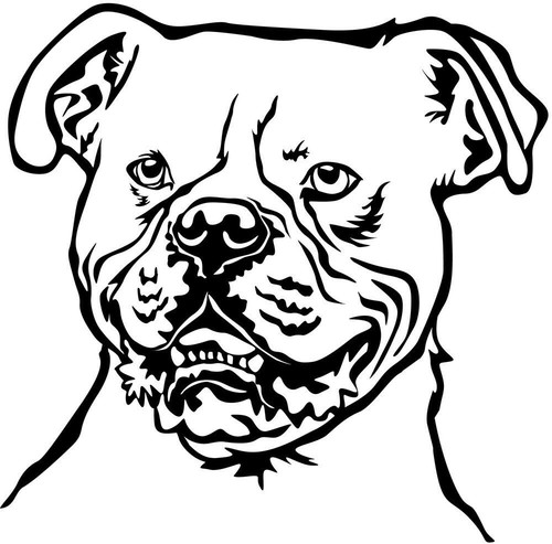 American bulldog aufkleber - american,