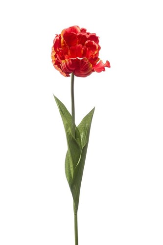 Artplants kunst papageientulpe - artplants,