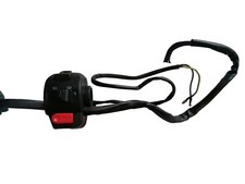 ER. Rex 400 450 460 Lenkerschalter Links Schalter Baotian Benzhou Xinling