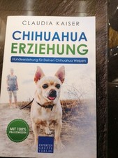 Chihuahua Erziehung