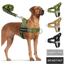 Hundegeschirr mit Leine