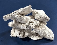 Fossiles Riffgestein |
