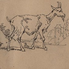 Joseph Simon Volmar Ziege