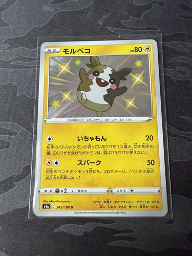 Shiny morpeko 243 190 s4a - shiny, 243/190