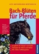 Bach blüten für pferde buch - für,