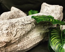 Terrarium Rückwand Neu Individuell  Zubehör 3D Osb Holz Komplett Reptilien 