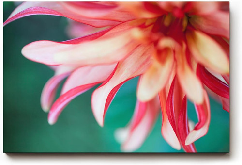 Sinus art wandbild - art,