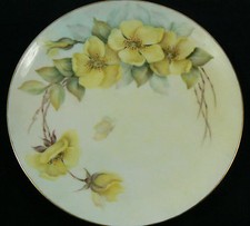 Vtg hutschenreuther gelb - vtg,