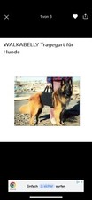 Walkabelly  Tragehilfe Gehhilfe Tragegurt Hebehilfe Rehahilfe für Hunde M