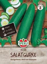 Salatgurke 'Moneta' - Cucumis