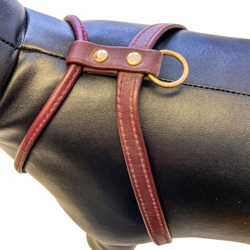 Feinleder hunde geschirr - feinleder,