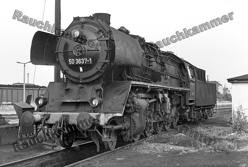 Fotoabzug 10x15 50 - pe-fotoabzug,