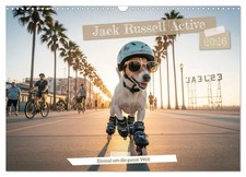 Jack Russel Active