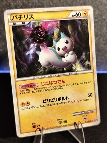 Pachirisu 012 040 - pachirisu, rare