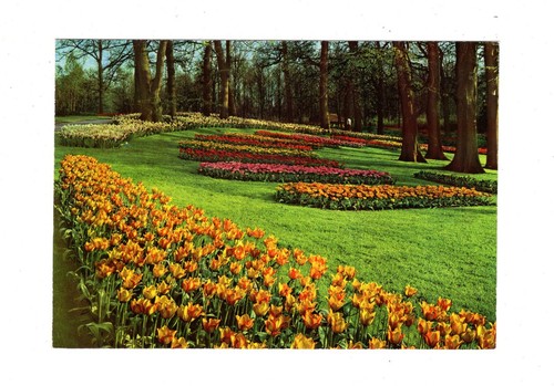 Ansichtskarte blumenland - ansichtskarte, /