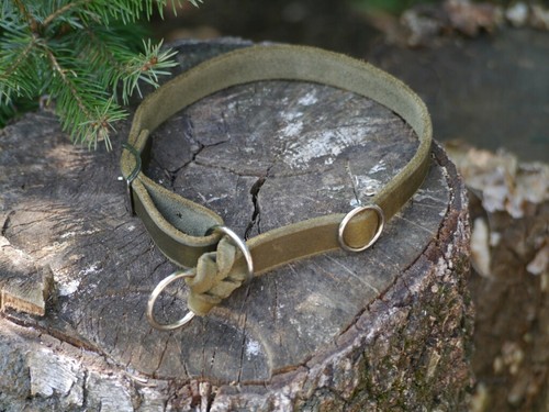 Fettlederhalsband oliv m - , in