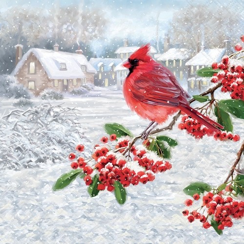 Servietten cardinal - 20,
