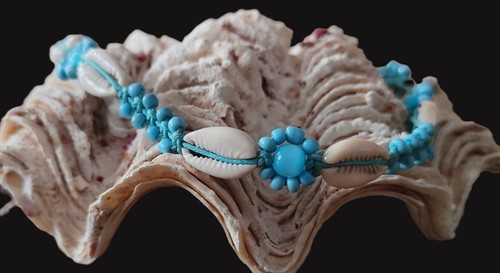 Kauri muschel schnecke - kauri,