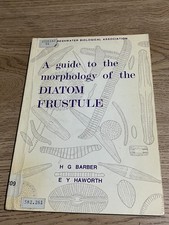 Guide the morphology of - guide,