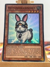 Rettungskaninchen CT09-DE015