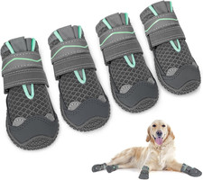 Slowton Hundeschuhe