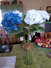 wunderschöne Hortensien