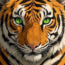 DIY Diamond Painting Vollbild Tiger grüne Augen Comic Porträt König Dschungel