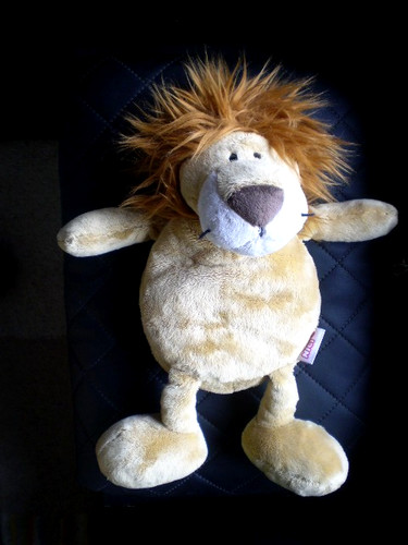 Nici schlenker lion - lion, /
