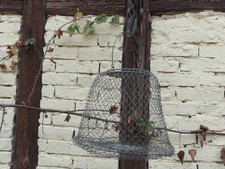 Fischreuse inox Fischfang