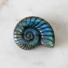 Labradorit Nautilus -