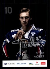 Cedric Hächler Autogrammkarte ZSC Lions 2016-17 Original Signiert+A 182757