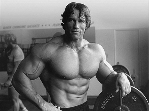 Arnold schwarzenegger - arnold,
