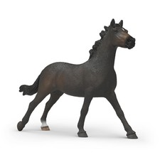Schleich horse club - schleich, engelse