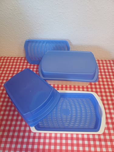 Tupperware x four - four, seasons
