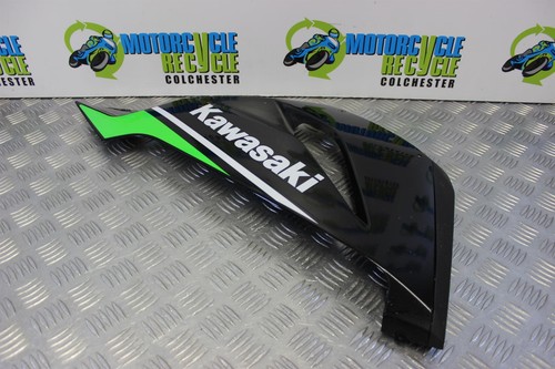 Kawasaki r verkleidung - 6,