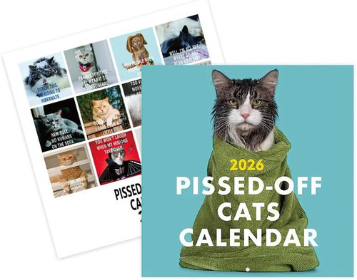 Katzenkalender 2026 kalender - katzenkalender,