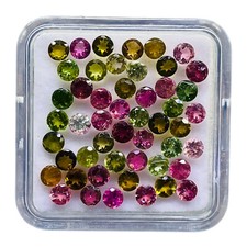 50 Stück Natürlich Multi