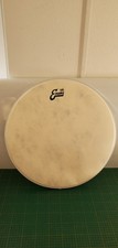 Evans EQ4 Calftone 20 Zoll
