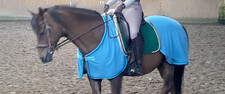 Gr. 145 Vorder- & Hinterdecke Mattes Mer Reitdecken System Fleece Abschwitzdecke