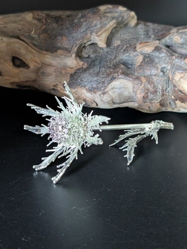 Miniatur distel silberdistel - miniatur,