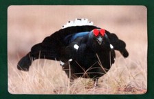 TISCHSET Platzdeckchen