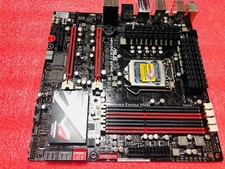 Maximus gene z - iv, gene-z