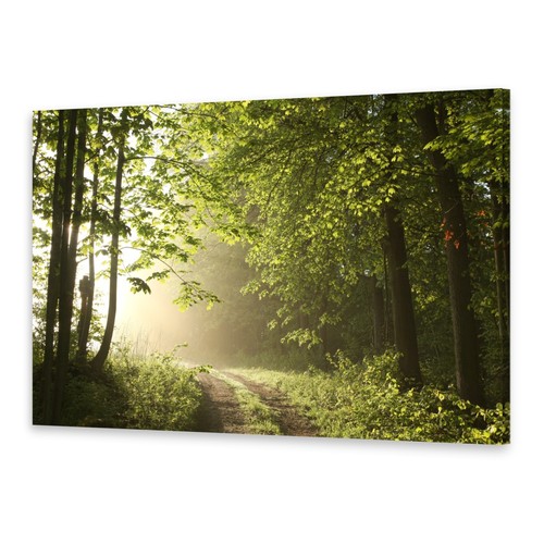 Leinwand bilder wandbild - leinwand-bilder, druck