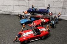 AC Cobra / Shelby Konvolut in 1:18, 1:24, 1:64 und 1:87