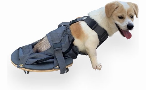 Pet scooter wheelchair for - pet,