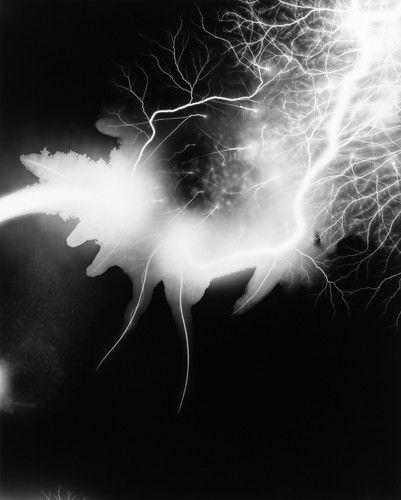 Hiroshi sugimoto autogramm auf - sugimoto,