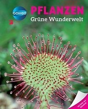 Galileo Wissen: Pflanzen: Grüne Wunderwelt von Sabine Bo... | Buch | Zustand gut