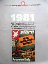 DER STERN - Chronik 1981 Cover
