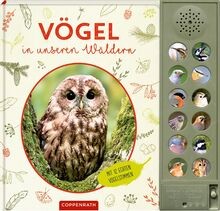 Vögel unseren wäldern - unseren,