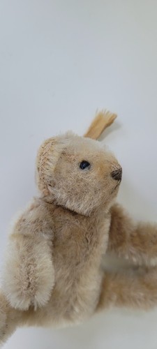 Steiff miniteddy 7cm knopf - steiff, 7cm,